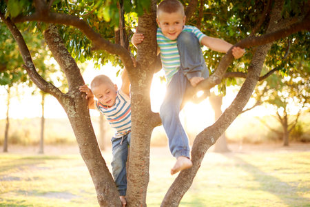 Boy, brothers and climbing tree at park, playful and happy in summer sunshine with bonding in nature. Children, family and outdoor with games, adventure and smile with balance on holiday in Australiaの写真素材