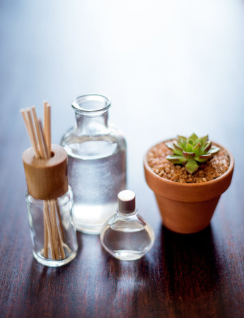 Plant, spa and aromatherapy on table with diffuser, peace and natural fragrance product. Holistic health, hospitality service and counter with essential oil for self care at luxury wellness salonの写真素材
