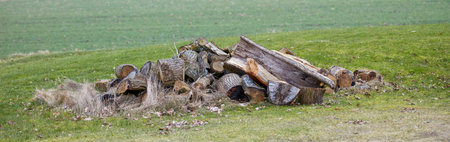 Wood, pile and timber in outdoor field environment for fuel, heat or natural material for...