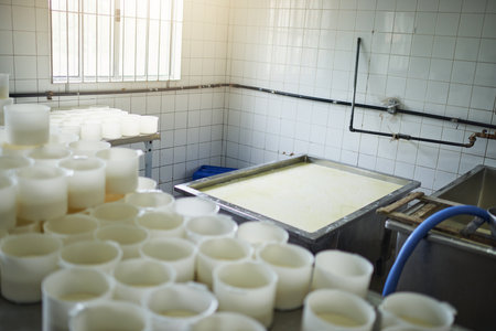 Cheese, factory and production in warehouse, container and fresh in kitchen and manufacturing. Healthy food, fromage and curd from milk in dairy farm, calcium and protein in produce and storageの写真素材