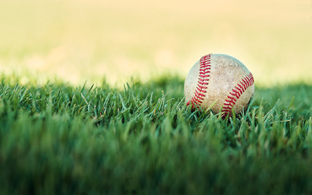 Baseball, grass and ball on pitch for sports training, fitness or tournament game in outdoor stadium. Exercise, competition or closeup of softball equipment for match on professional field or lawnの写真素材
