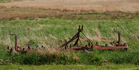 Farm, rust and old equipment for agriculture in countryside outdoor in environment. Land, broken and abandoned machine at field, vintage tools and obsolete antique metal on grass in nature in Denmarkの写真素材