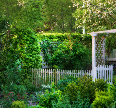 Garden, fence and plants with landscaping design for gardening, sustainability or backyard. Foliage, wooden structure or boundary hedge with landscape background for property, architecture and growthの写真素材