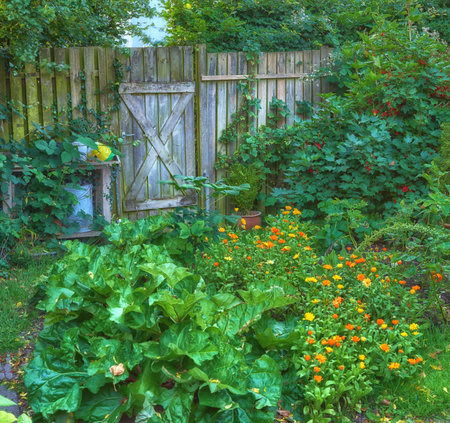 Nature, flowers and fence with lawn of garden for bush, environment and foliage botany. Spring season, grass and growth with plants blossom in backyard for countryside, park and peace backgroundの写真素材