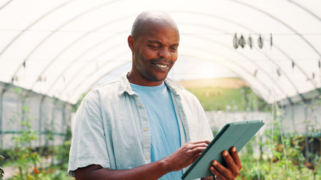 Farming, black man and smile with tablet for agriculture, plants information and app for harvesting tips. Greenhouse, person and farmer with digital for online review, sustainability and crops growthの写真素材