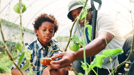Greenhouse, father and boy with vegetables, help and countryside with farming, environment or talking. African family, dad and parent with child, conversation and teaching with agriculture and growthの写真素材