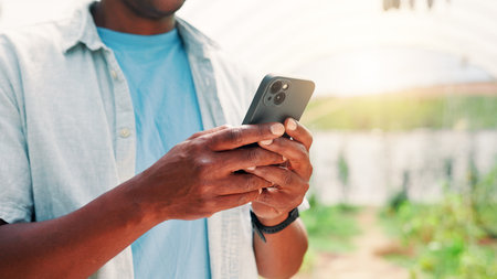Hands, phone and farmer in greenhouse with plants, photography with stats, record and progress with growth. Person, typing and inspection with mobile app for crops, sustainability and agricultureの写真素材