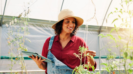Woman, inspection and tablet in greenhouse, crops and farming for growth, app and quality assurance....