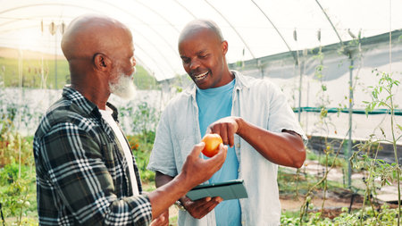 Greenhouse, tablet and farmer with client for fruit with quality assurance, sustainability or agriculture. Conversation, organic and African men with digital technology for checking natural peach.の写真素材