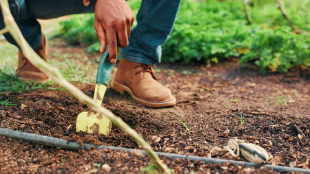 Fork, gardening and hand of farmer on ground of countryside for digging in planting season. Agriculture, earth and nature with person outdoor on farm for agribusiness or sustainability closeupの写真素材