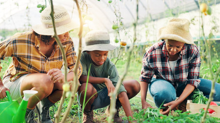 Farmer, plant and garden with family in greenhouse for agriculture, vegetables and growth. Sustainability, food production and helping with children and woman for crops, eco friendly and harvestの写真素材