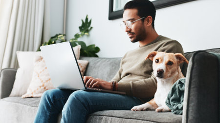 Reading, dog and laptop with man on sofa for streaming, social media and relax. typing, networking and online with person and pet in living room of home for blog post update, information and researchの写真素材