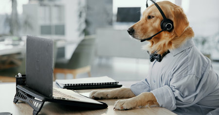 Dog, consultant or call center with headset on laptop at office for animal care, pet insurance or online service. Canine, agent or mic for vet consultation, help or virtual assistance at workplaceの写真素材