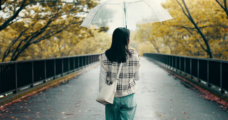 Umbrella, bridge and back of woman in city walking in rain on vacation for exploring, adventure or fun. Winter season, travel and female person commuting in town on holiday or weekend trip in Japan.の写真素材