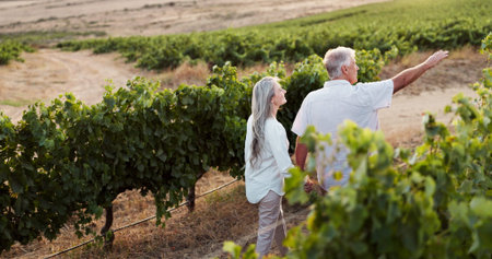 Nature, pointing and walk with old couple in vineyard for romance, anniversary date and bonding....