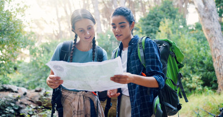 Map, nature and girl friends hiking in forest with route plan for adventure together. Travel, outdoor and female people with paper guide for trekking in woods on weekend trip with backpacking.の写真素材