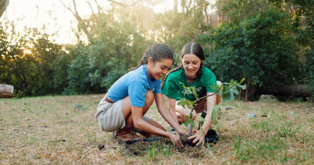 People, volunteer and planting trees with smile for sustainability, environment and Earth Day project. Happy, women or support for community service, eco friendly activity and plants growth in natureの写真素材