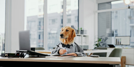 Laptop, planning and writing with business dog in office for administration, online report or research. Comic, notebook and space with labrador employee in professional workplace for managementの写真素材