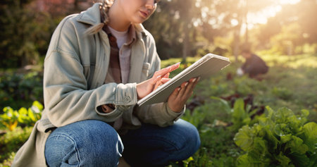 Farm, tablet and typing with hands of woman in nature for environment, plant field research or crop yield forecast. Sustainability, growth or agriculture with person in countryside for soil ph sensorの写真素材