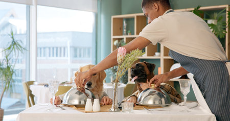 Dog, waiter and food with service for hospitality experience or order at dinner table. Pet, person or accommodation with list, meal or fine dining for animal care, date or comic serving at restaurantの写真素材