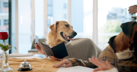 Payment, menu and dog with card, restaurant and waiting for receipt, animal friendly and customer service. Comic, consumer and pets with credit for purchase, hospitality and humor of order in dinerの写真素材
