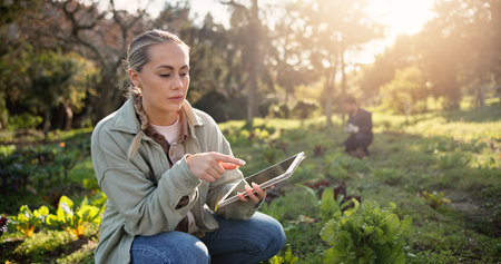Farm, tablet and inspection with woman in nature for environment, plant field research or crop yield...