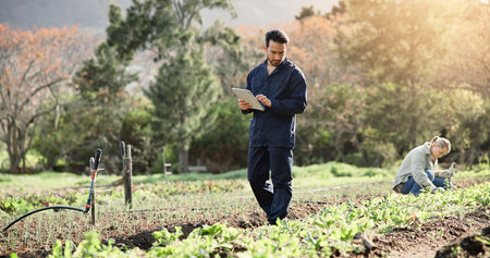 Farm, tablet and plant with man in nature for agriculture, eco field research or crop yield...