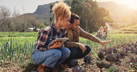Farming, tablet or team by crops for growth, development or quality assurance for sustainable...