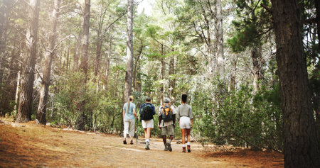 Fitness, back and people in nature for hiking, explore environment or journey on trail. Trekking group, guide and walking in forest for exercise, adventure route or outdoor for wellness activityの写真素材
