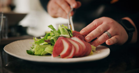Hands, chef and meal for restaurant, healthy food and preparation for brunch in kitchen or cuisine. Catering business, employee and person with salad for lunch, cooking or skills for gourmet in dinerの写真素材