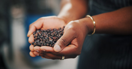Hands, juniper berries and production with person in distillery for gin industry or manufacturing. Fermentation, flavor and process with employee closeup in brewery, factory or plant for distillationの写真素材