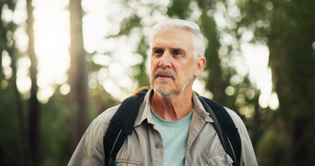 Outdoor, hiking and senior man in forest, journey and adventure in nature, traveller and retirement. Backpacking, travel and elderly person on holiday in woods, trekking or exploration of environmentの写真素材
