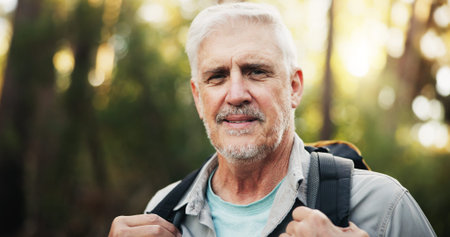 Portrait, backpacking and senior man on adventure, forest and journey in nature, outdoor and retirement. Hiking, travel and elderly person on holiday in woods, trekking and exploration of environmentの写真素材