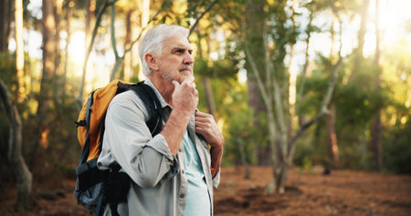 Hiking, senior man and thinking outdoor with walking direction, retirement hobby and cardio wellness. Trekking, mature person and backpack in forest for sightseeing, nature journey or exploring woodsの写真素材