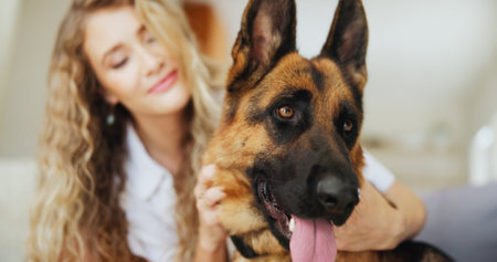 House, woman and adoption of dog, hug or love for german shepherd in living room, petting or canine. Owner, person or embrace with rescue animal in lounge, bonding or stroke for domestic companionの写真素材