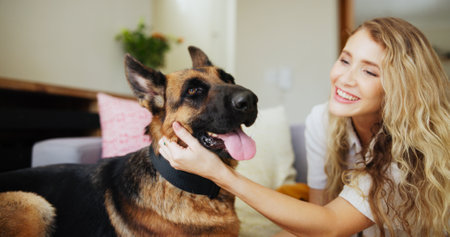 Home, woman and affection for dog, petting and love for german shepherd in living room and adoption. Happy, owner and person with rescue animal in lounge, bonding and care for canine with loyaltyの写真素材