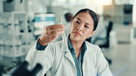Science, plant and test tube with woman in laboratory for biology research, medical and growth. Inspection, climate change analyst and environment study with scientist for results and sustainabilityの写真素材