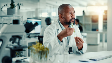 Black man, scientist and plants at lab with tube for growth analysis with medical research for breakthrough. African person, biochemistry and leaves for medicine development with organic pharma drugsの写真素材