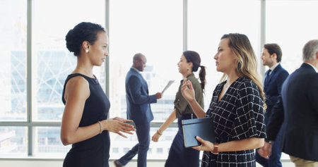 Lobby, office and business women in discussion with notebook for feedback, advice and planning. Professional, corporate and workers in meeting for strategy, project and proposal for cooperationの写真素材