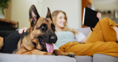 Woman, dog and relax with tablet on sofa for pet insurance, care or love for companion at home....