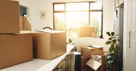 Empty, house and boxes with relocation for property migration or eviction notice in apartment. Packages, parcels or cargo in home vacate for moving, replacement or packing equipment in buildingの写真素材
