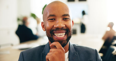 Laugh, portrait and meeting with business man in office for strategy, management and broker consultant. Planning, happiness and account manager with employees for financial advisor and smileの写真素材