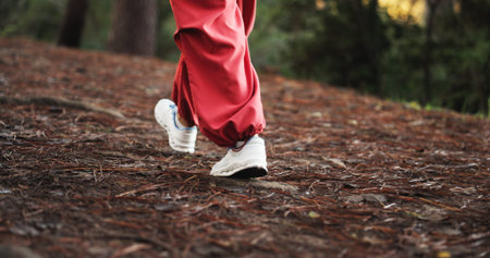 Walking, feet and person on hike in woods, trekking and sneakers for adventure on holiday or travel....
