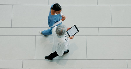 Women, doctor and medical team with tablet above for healthcare research or discovery at hospital. Top view, female people or nurse walking with technology or app for health development on spaceの写真素材