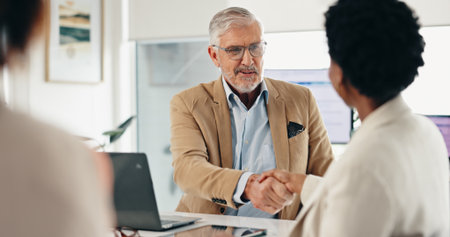 CEO, business people and handshake for deal, partnership and financial agreement for company sale. Happy buyer, mature investor and shaking hands for b2b acquisition, equity purchase and thank youの写真素材