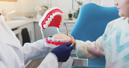 Hands, kid and dentist with mouth model for medical check, teeth hygiene or dental health. Tooth...