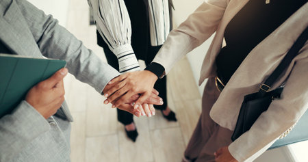 Hands stack, above and business people at office with team motivation, support or circle at...