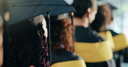 Back, college and people with success, graduation and education milestone with achievement. Students, men and women with knowledge, opportunity and goals with celebration, university and futureの写真素材