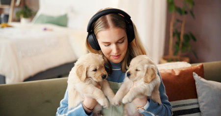 Headphones, woman and relax with puppies in home for bonding together, adoption or music playlist. Animal rescue, girl or listening to audio with Labrador dogs for pet insurance or connection on sofaの写真素材