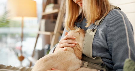 Hands, stroke puppy and hug on bed in home, love and care with comfort for bonding in morning. Person, dog and pet animal with embrace, cuddle or touch fur with loyalty in bedroom at apartmentの写真素材